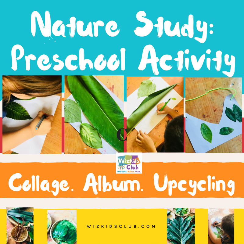 Nature Study - Preschool Activity